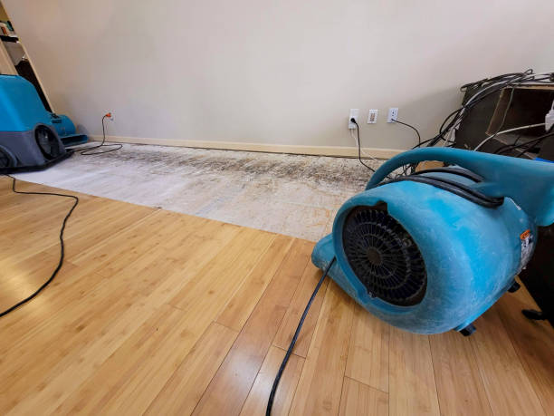Professional Burst Pipe Water Damage technician working in Frankfort, MI